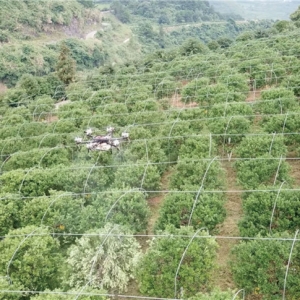 最強(qiáng)植保神器！常鋒無(wú)人機(jī)攜碾壓級(jí)優(yōu)勢(shì)殺入果樹(shù)飛防